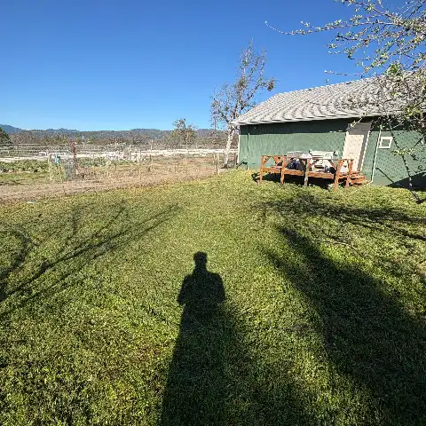 side lawn after service, freshly mowed even green lawn beside the green house