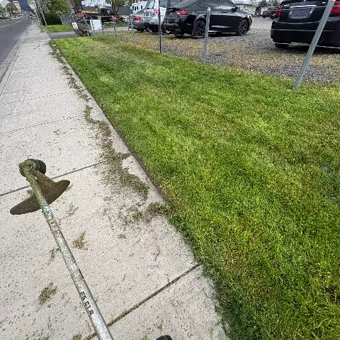 parking-strip grass after service, trimmed and cleanly edged along the sidewalk